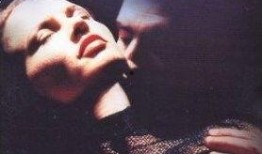 红鞋日记在线观看16,激情燃烧的夜晚