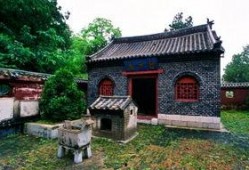 牛山森林公园爆料视频,探秘自然奇观，感受生态魅力