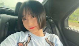 辛巴爆料徐婕视频播放,真相与争议